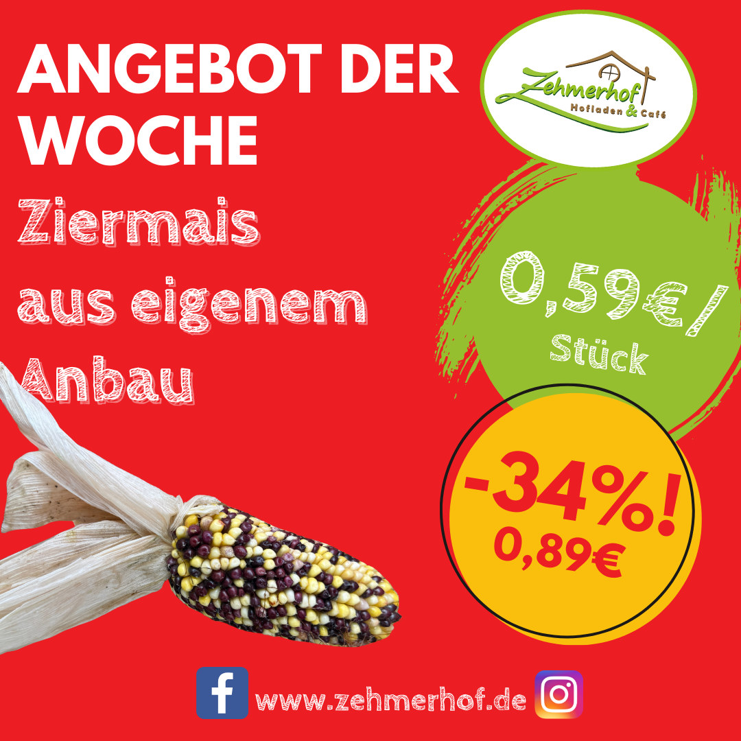 🌽🍁 Angebot der Woche: Bunter Ziermais aus eigenem Anbau (06.10 bis 11.10) 🍁🌽