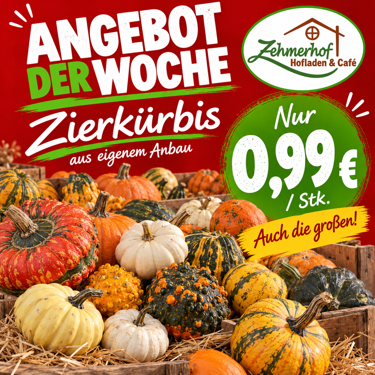 🎃🍂 Angebot der Woche: Zierkürbisse aus eigenem Anbau (12.10. bis 17.10.) 🍂🎃