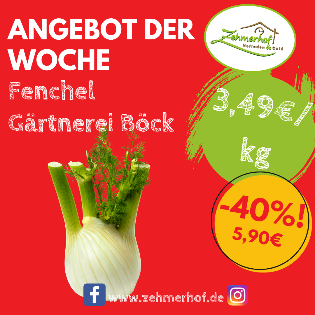 🌿⚪️ Angebot der Woche: Frischer Fenchel von der Gärtnerei Böck (03.11 bis 08.11) ⚪️🌿