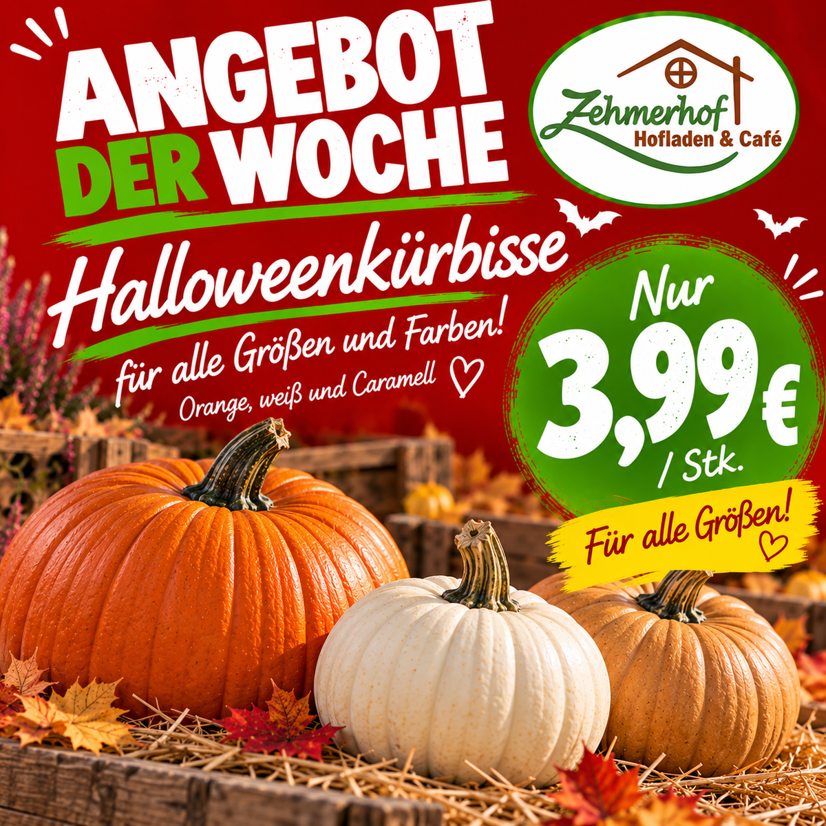 🎃👻 Angebot der Woche: Halloweenkürbisse aus eigenem Anbau (19.10. bis 24.10.) 👻🎃