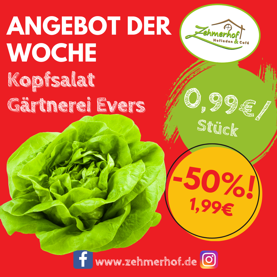 🥗🥬 Angebot der Woche: Frischer Kopfsalat (16.09 bis 21.09.) 🥬🥗